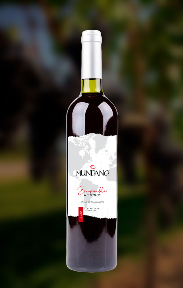 Ensamble de Vinícola Mundano