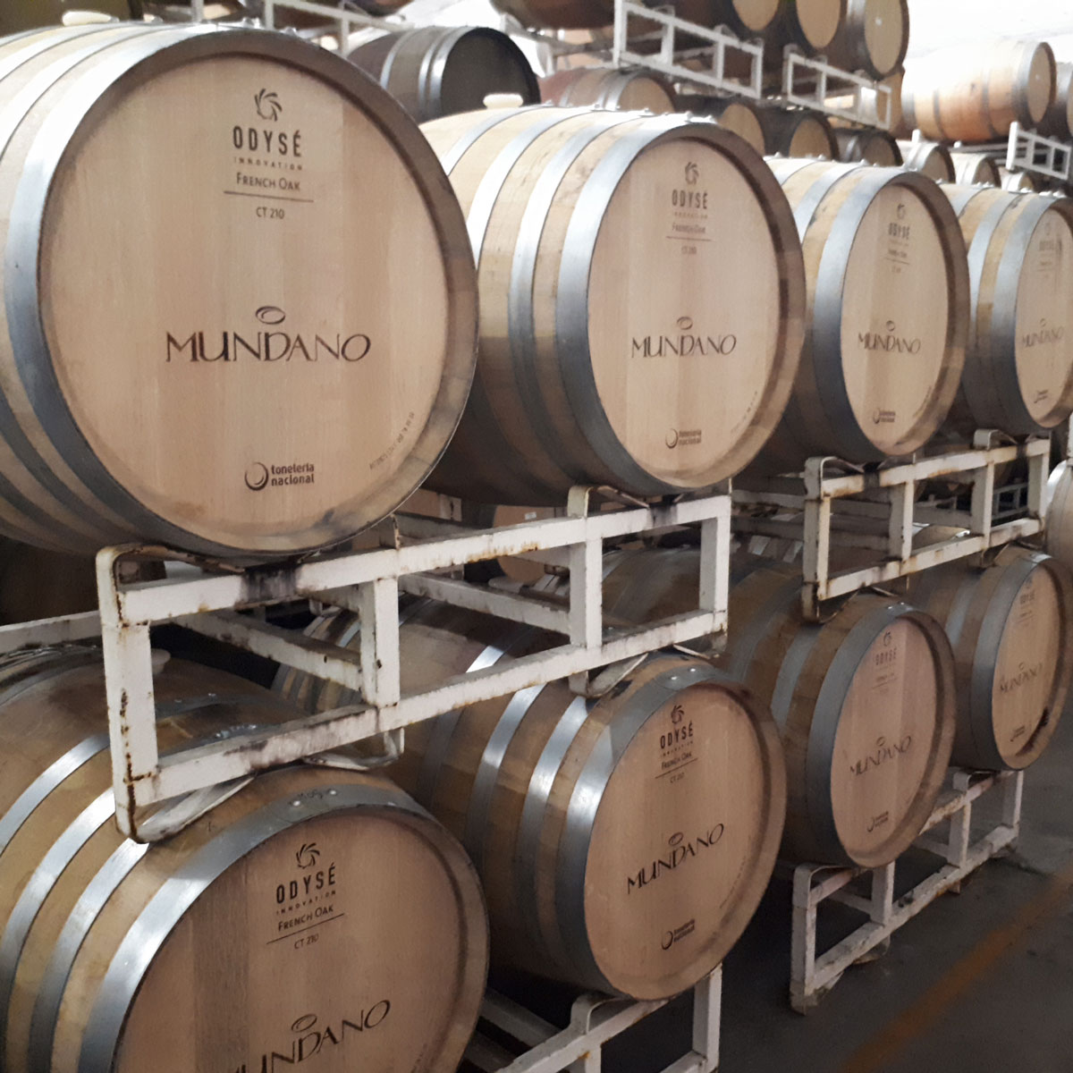 Vinícola Mundano